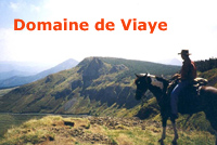 logo Domaine de Viaye