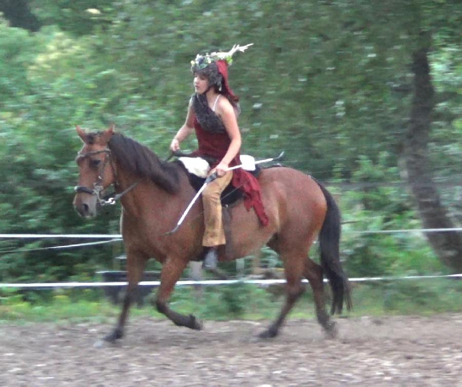 Cheval Origine constat�e � vendre Saint-Cl�ment dans l'Allier photo 6