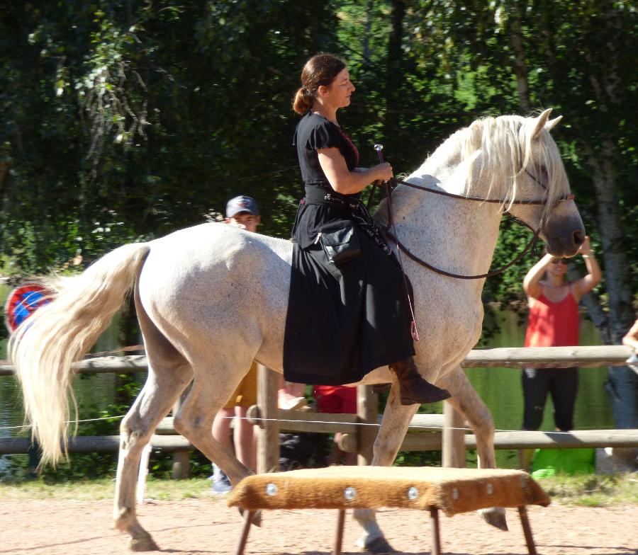 Cheval Origine constat�e � vendre Saint-Cl�ment dans l'Allier photo 5