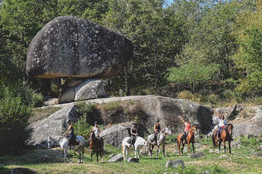 Gite equestre cheval Brassac dans le Tarn  photo 6