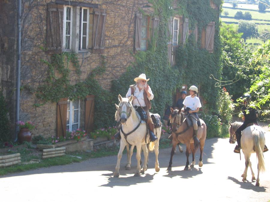 Gite equestre cheval Paray-le-Monial en Saône-et-Loire  photo 3