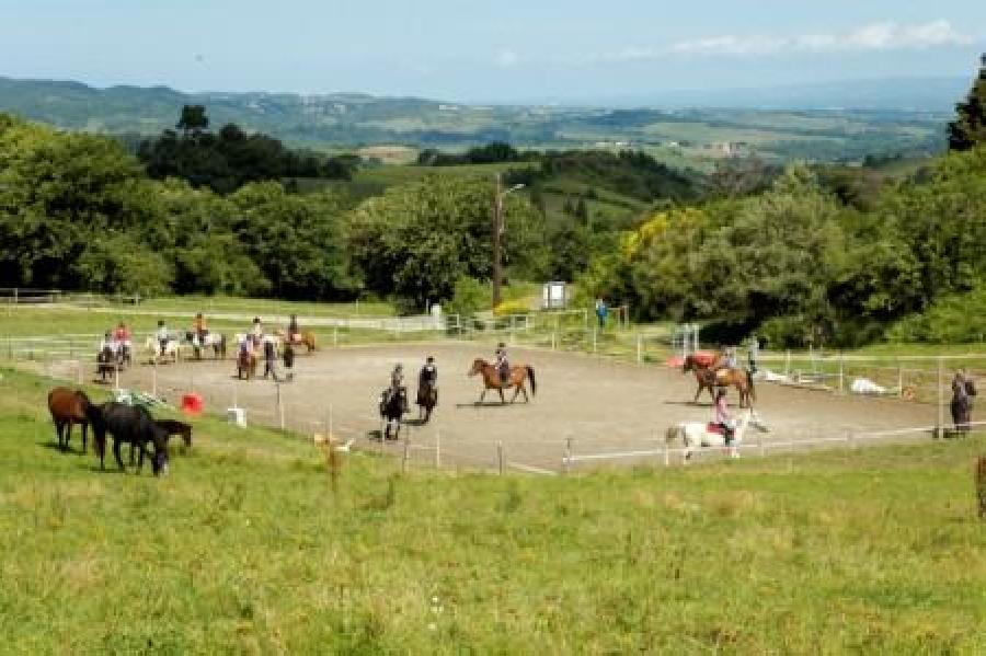 Gite equestre cheval Carcassonne-Verzeille dans l'Aude 
