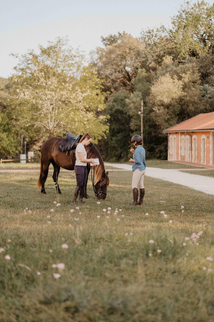 gite equestre Naujac-sur-Mer Gironde Ferme questre de Naviac