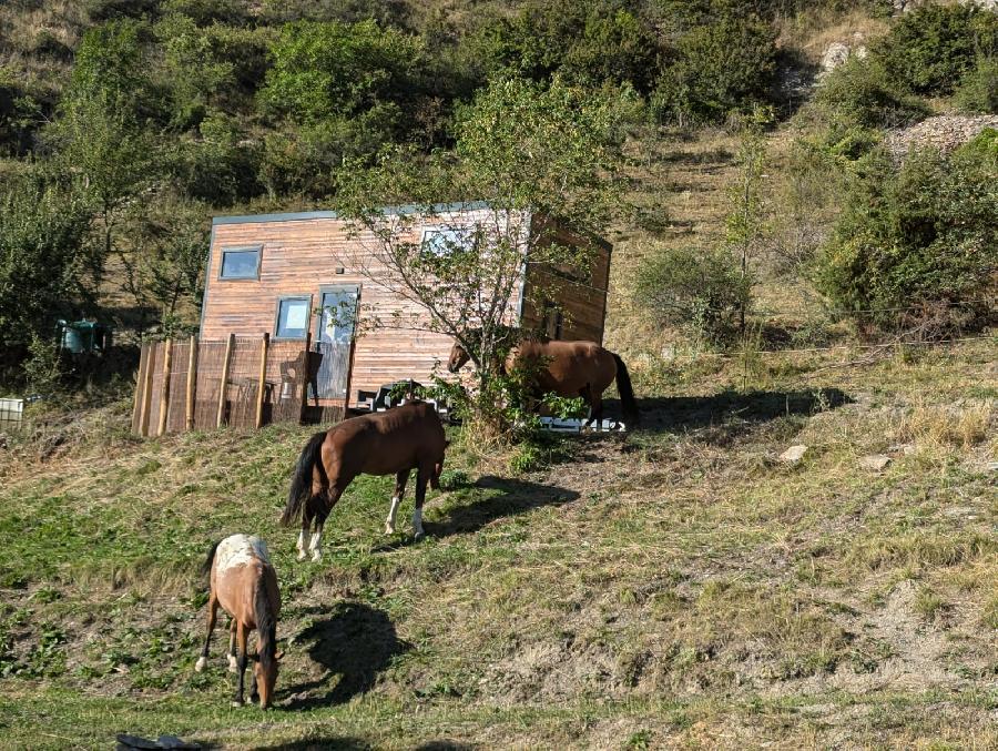 gite equestre Jausiers Alpes de Haute-Provence Provence Equiservices