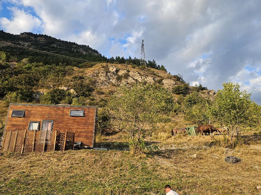 Gite equestre cheval Jausiers dans les Alpes de Haute-Provence  photo 2