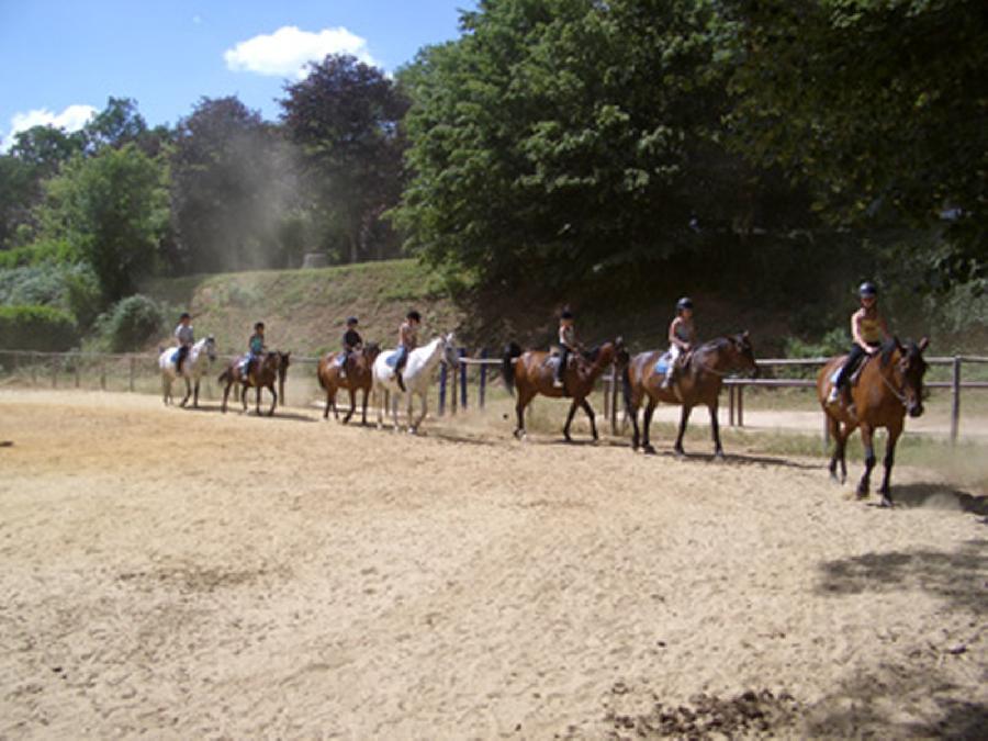 Gite equestre cheval Mont-Roc dans le Tarn  photo 4