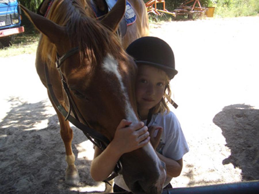 Gite equestre cheval Mont-Roc dans le Tarn  photo 6
