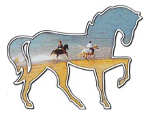 logo Les Chevaux du Verdon