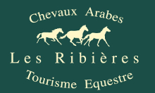 logo Ferme Equestre des Ribires