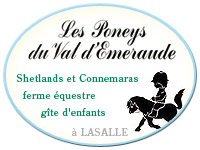 logo Les Poneys du Val d'meraude