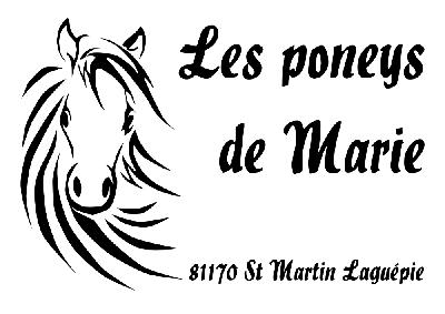logo Les Poneys de Marie Marie SUC 
