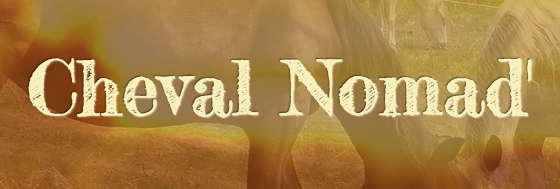 logo Cheval Nomad'
