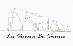 logo Les Chevaux du Sourire