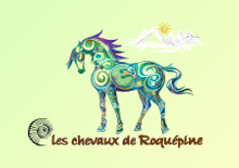 logo Les Chevaux de Roquépine