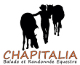 logo annuaire Chapitalia Valérie RAVERA 