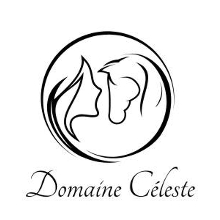 logo Le Domaine Cleste