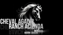 logo Cheval Agadir Ranch Acienda