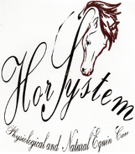 logo curies HorSysteme