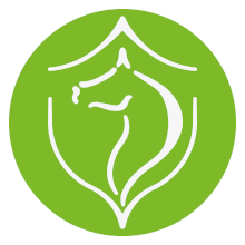 logo Domaine Equestre des Bastides