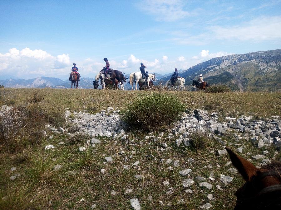 pension cheval à Saint-Geniez Alpes de Haute-Provence Provence