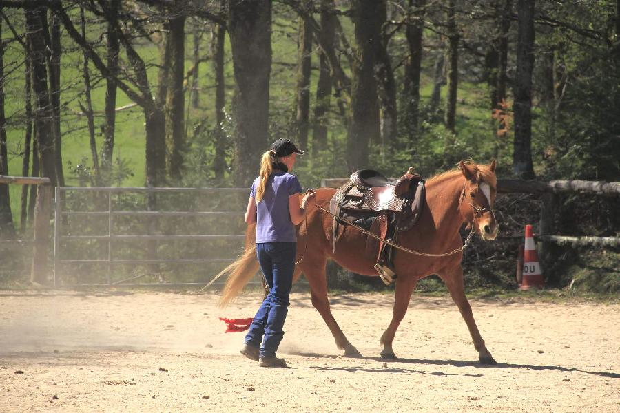 pension cheval à Chaumeil Corrèze PNR de Millevaches en Limousin