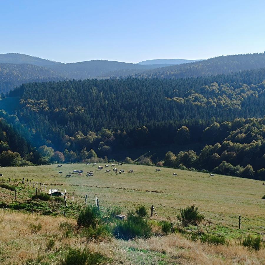 0 Mazan-l'Abbaye  