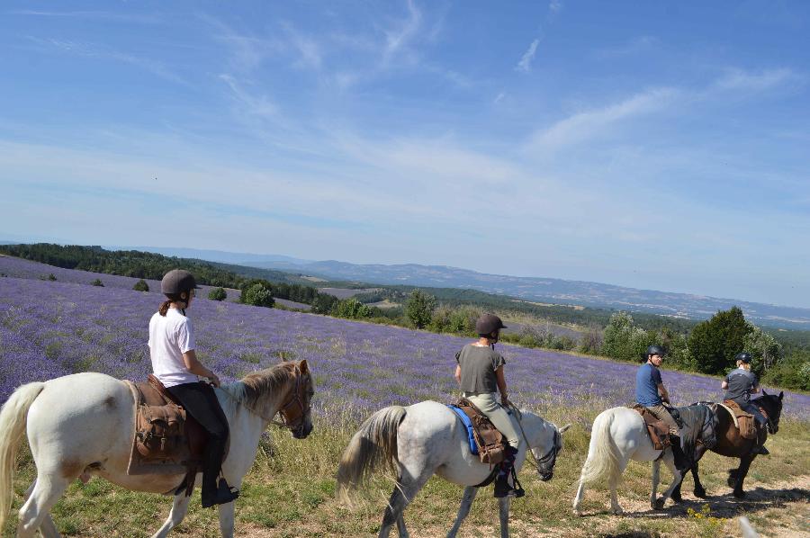 Séjour équestre Alpes de Haute-Provence  photo 3