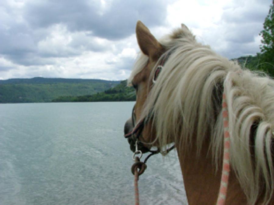 rando Randonne questre Jura