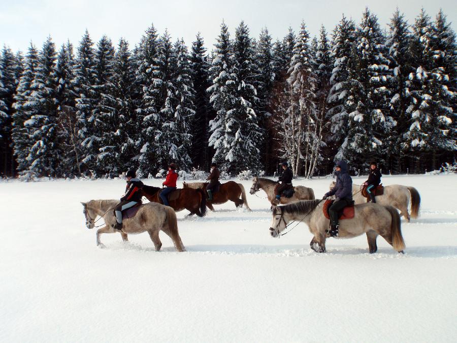 sejour Jura Massif du Jura photo 2