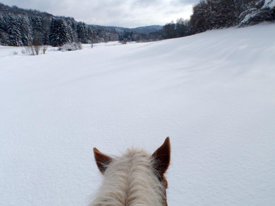sejour Jura Massif du Jura photo 5