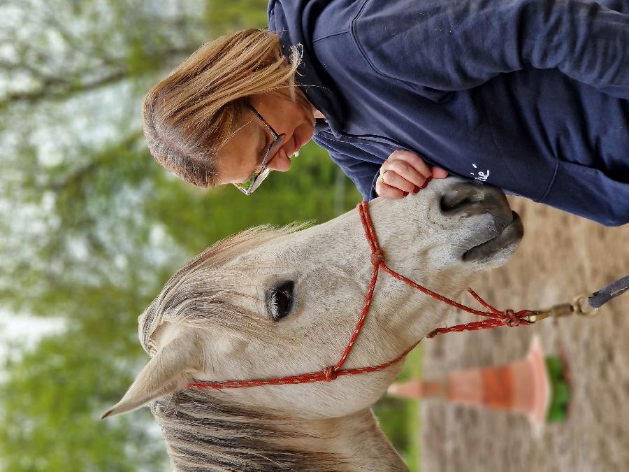 sejour Tarn PNR du Haut-Languedoc photo 5