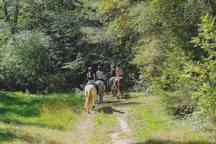 Randonne questre Tarn PNR du Haut-Languedoc photo 2