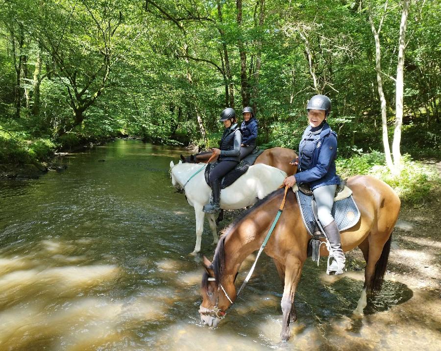 Balade  cheval Haute-Vienne Limousin