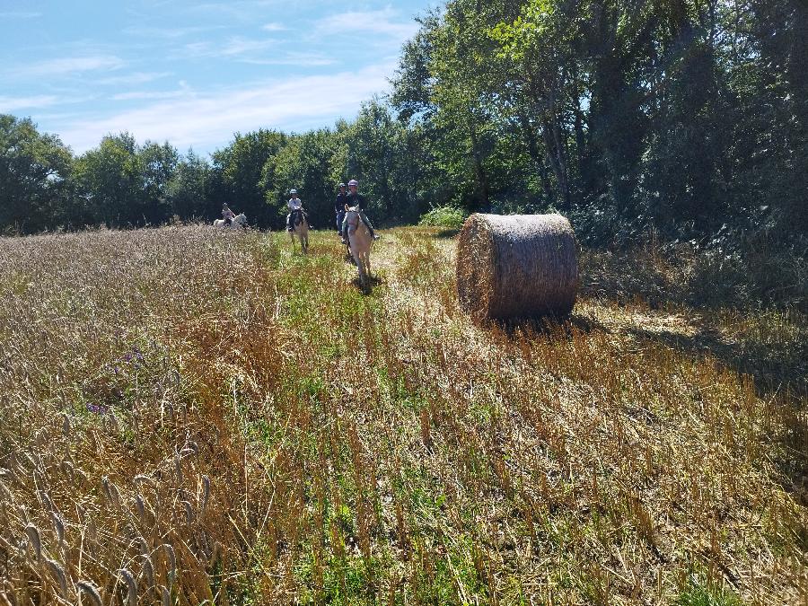 sejour Haute-Vienne Limousin