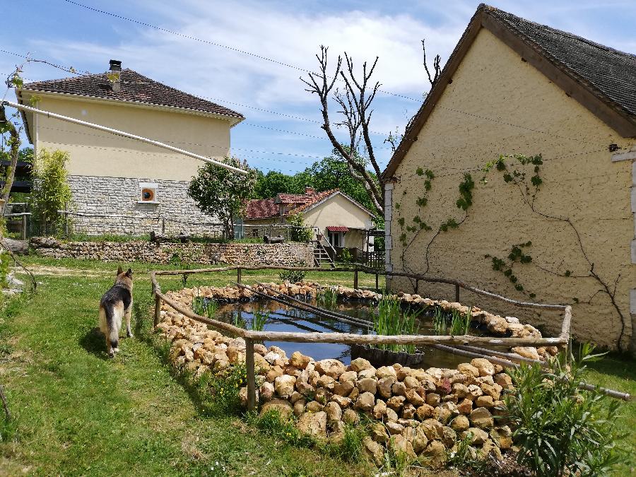 Sjour questre Dordogne  photo 4