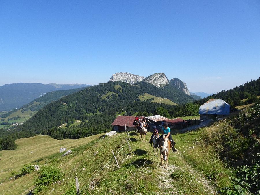 Sjour questre Savoie PNR du Massif des Bauges photo 3