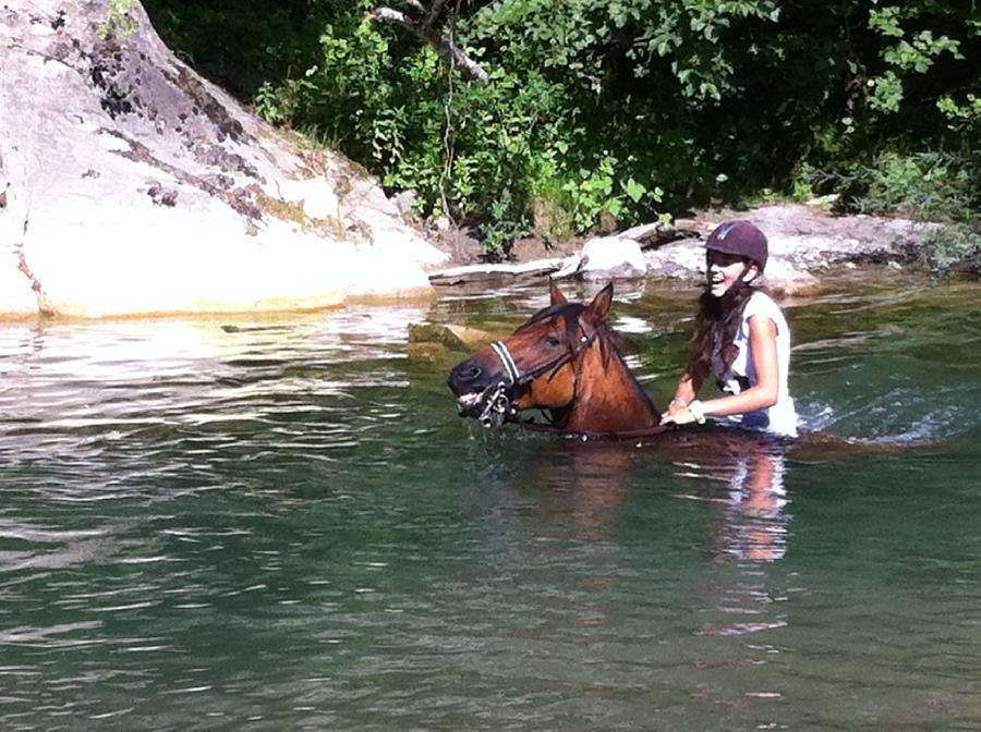 sejour Savoie PNR du Massif des Bauges photo 2