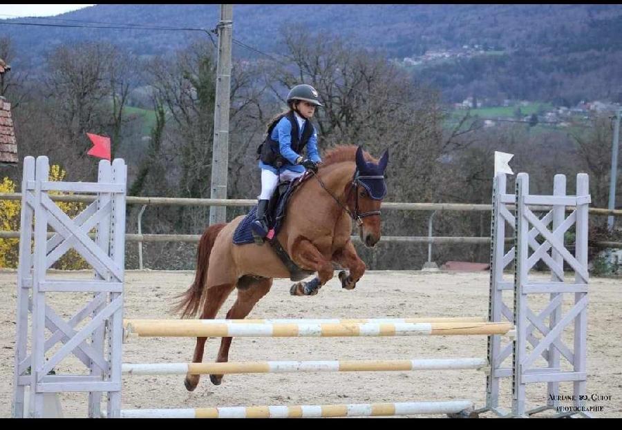 sejour Savoie PNR du Massif des Bauges photo 6