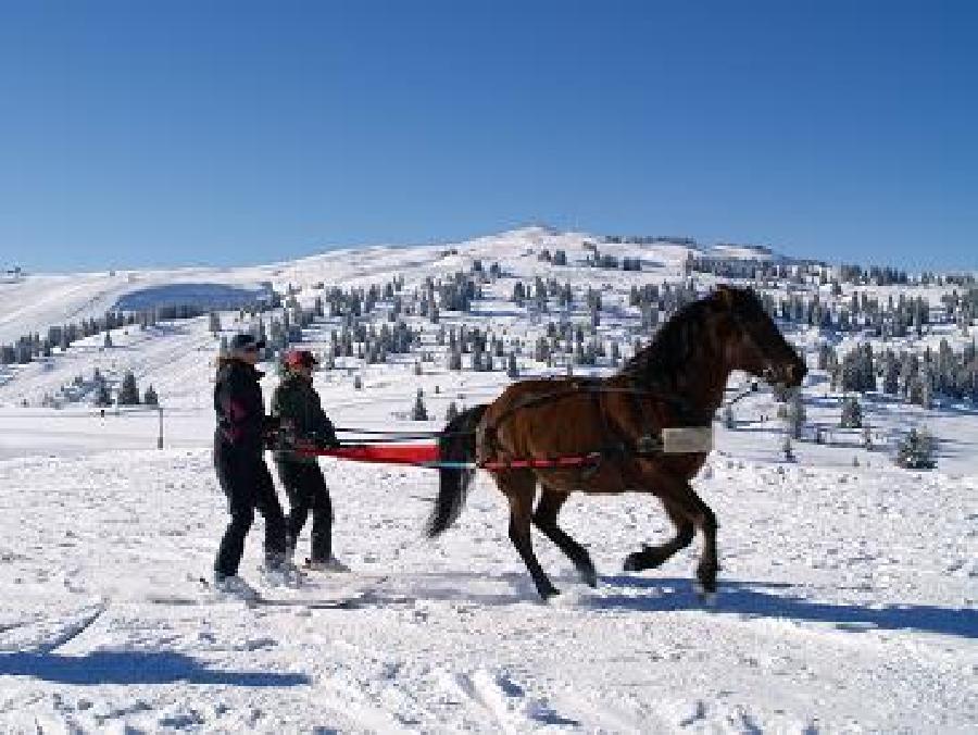 Balade  cheval Savoie PNR du Massif des Bauges photo 2