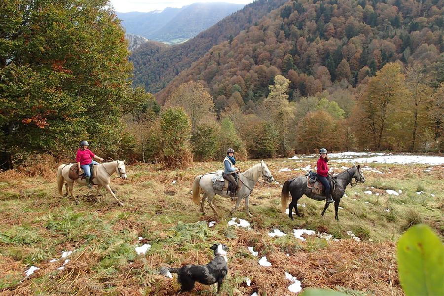 sejour Haute-Garonne Pays Cathare