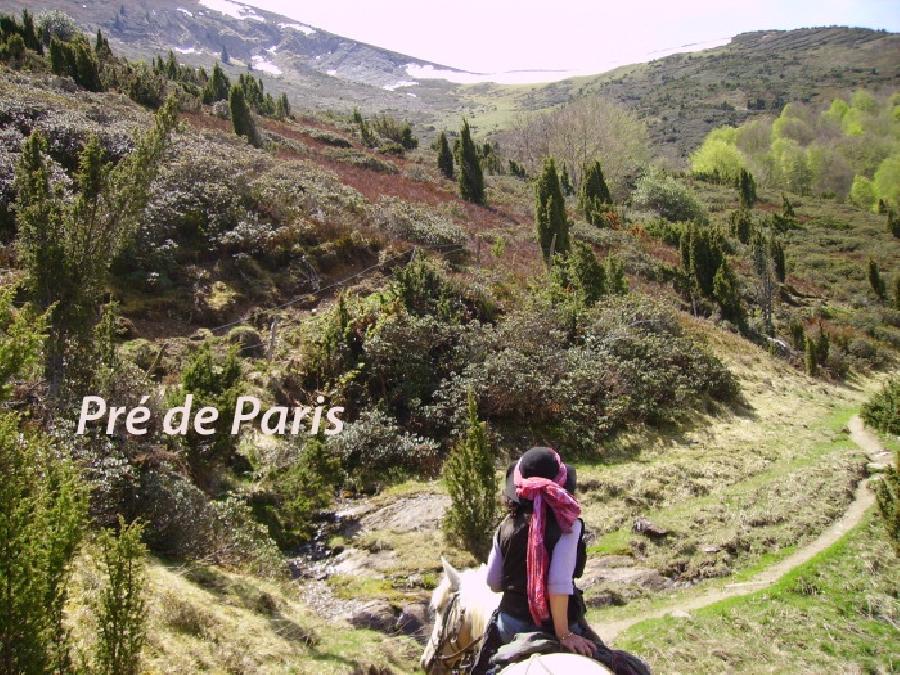 sejour Haute-Garonne Pays Cathare photo 3