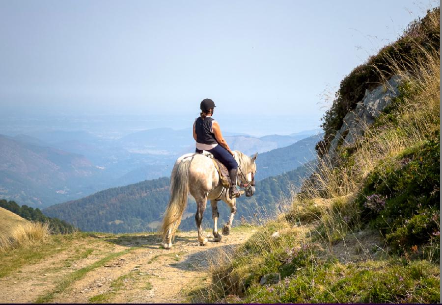 sejour Haute-Garonne 