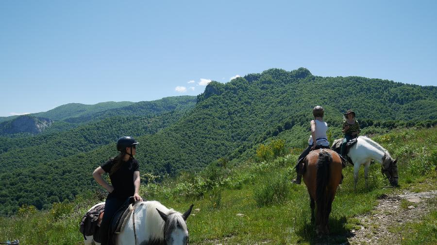 sejour Haute-Garonne Pyrnes