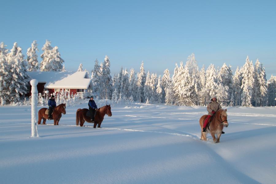 site de rencontre finlandais