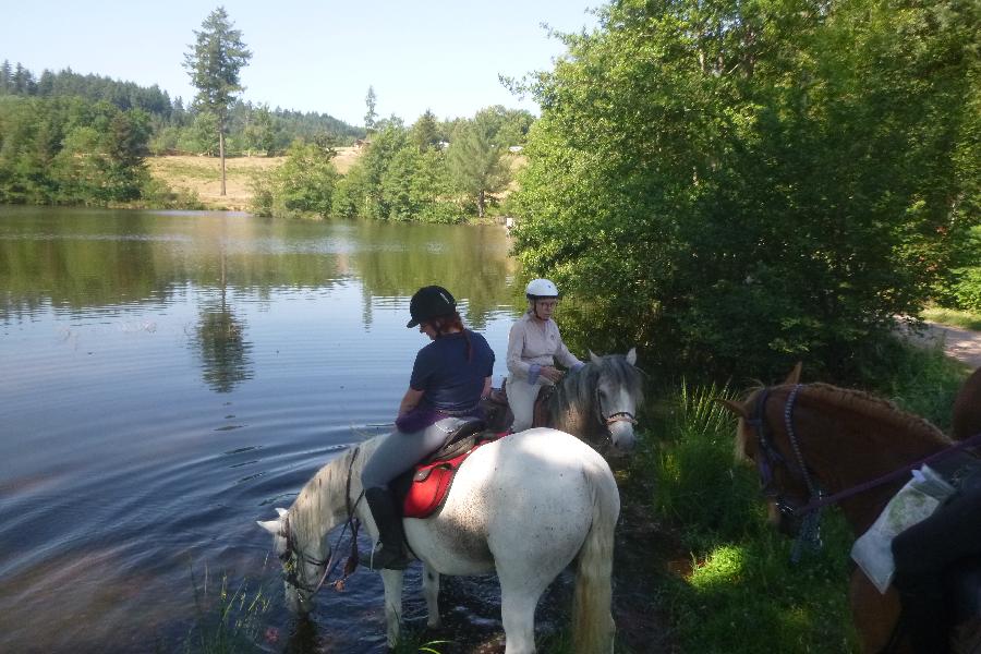 Sjour questre Sane-et-Loire Bourgogne du Sud photo 4