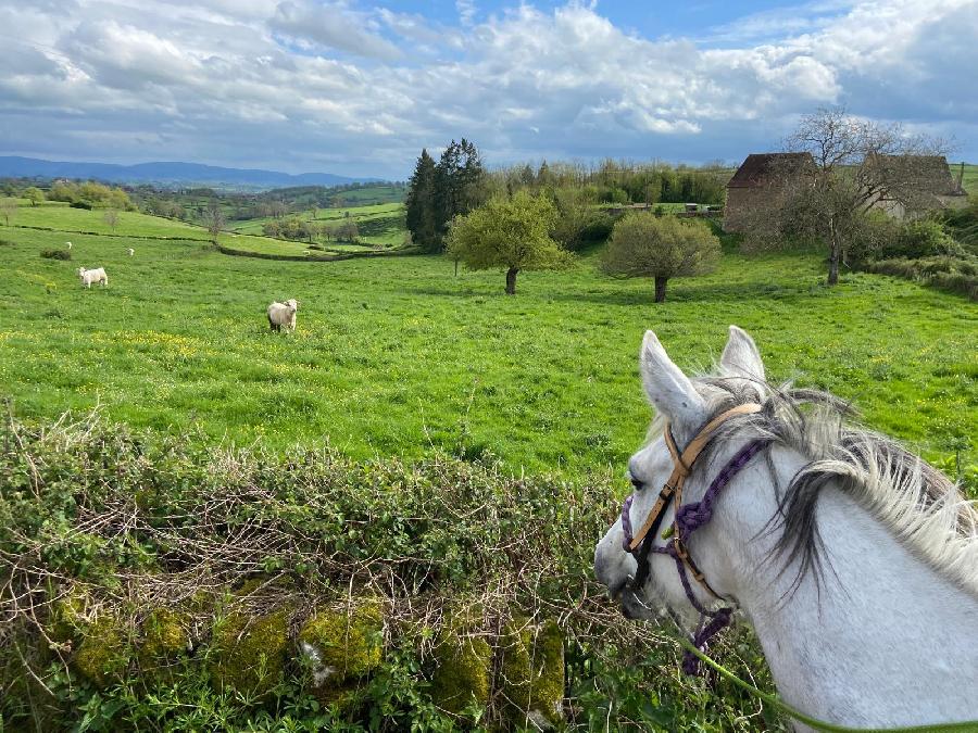 sejour Sane-et-Loire Bourgogne du Sud photo 5