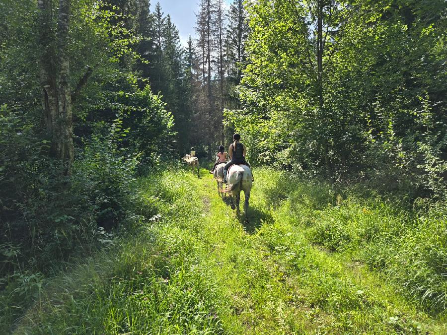 sejour Jura PNR du Haut-Jura photo 3