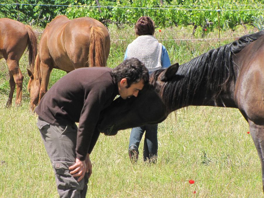 site rencontre randonnée