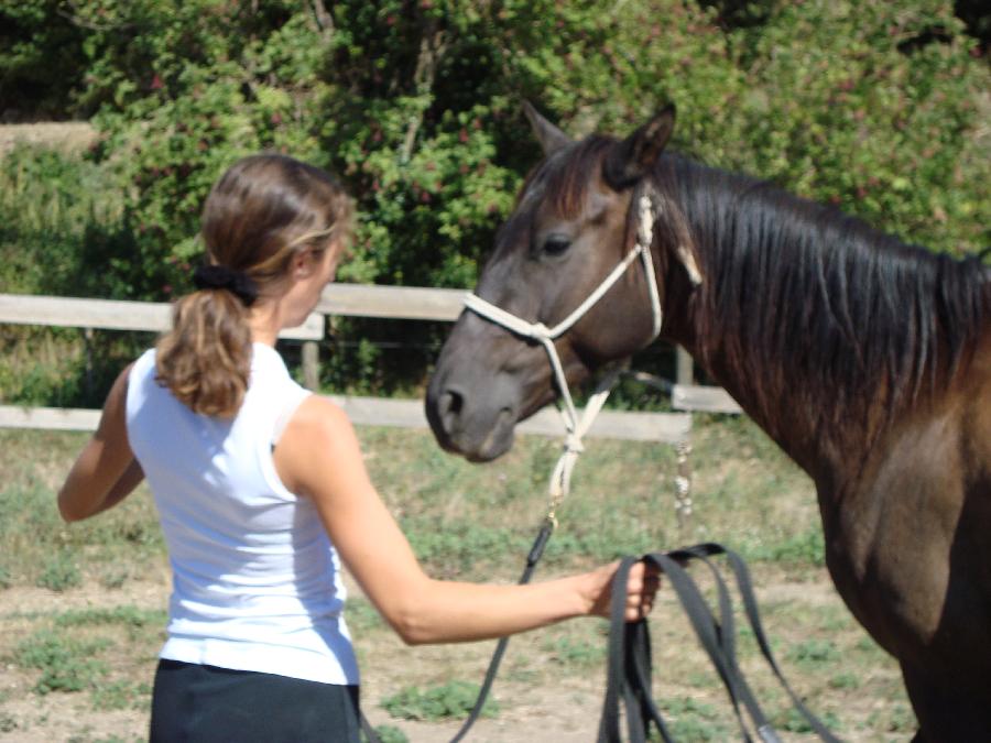 site de rencontres cheval