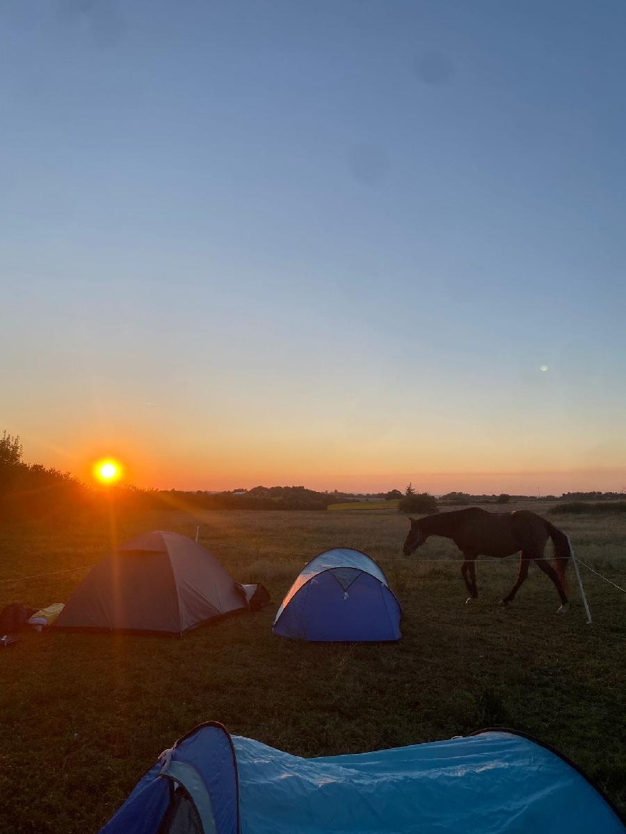 sejour Tarn  photo 2